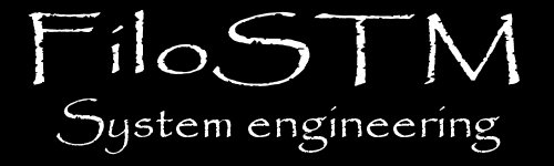 FiloSTM System engineering